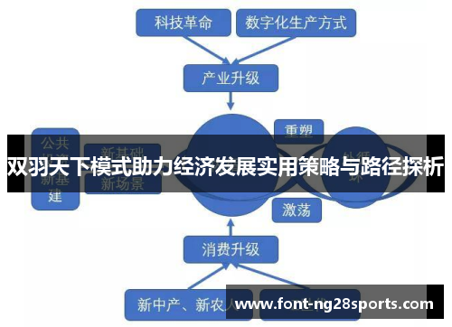 双羽天下模式助力经济发展实用策略与路径探析