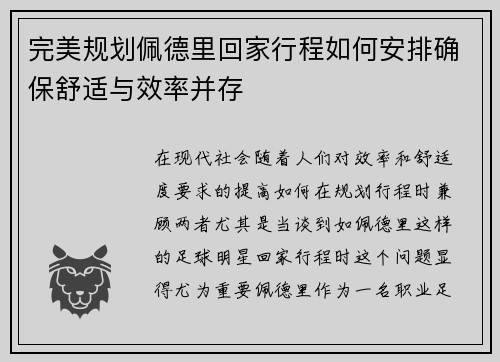 完美规划佩德里回家行程如何安排确保舒适与效率并存