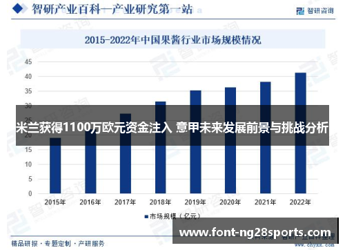 米兰获得1100万欧元资金注入 意甲未来发展前景与挑战分析